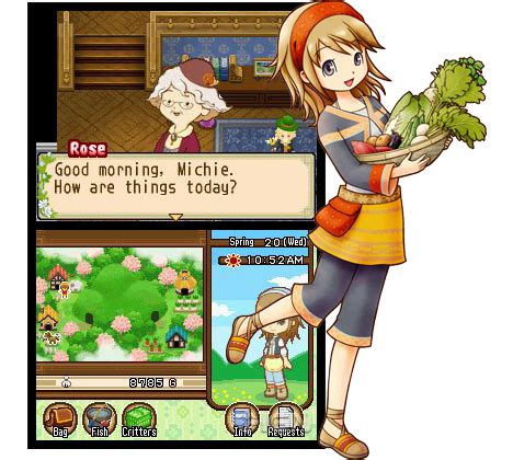 Harvest Moon Tale of Two Towns: Two Towns General Guide.
